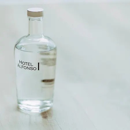 Hotel Alfonso I